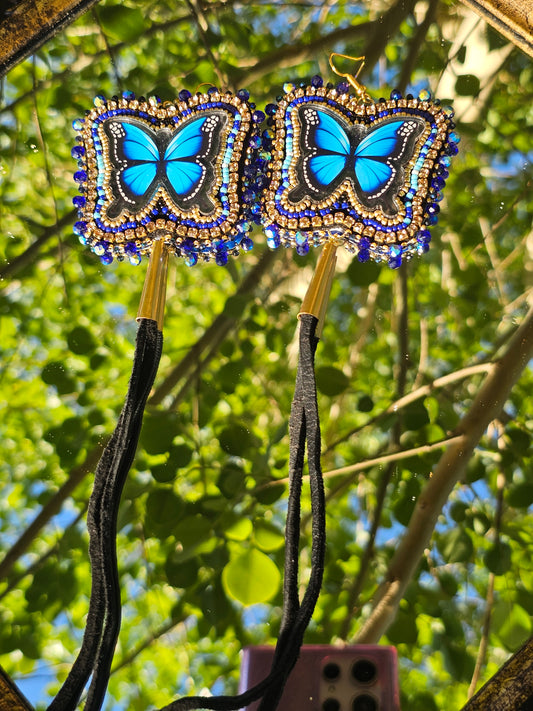 🦋✨️🦋✨️🦋
