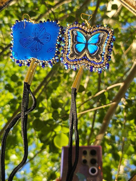 🦋✨️🦋✨️🦋